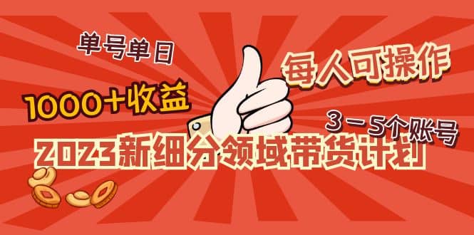 2023新细分领域带货计划:单号单日1000+收益不难,每人可操作3-5个账号网创吧-网创项目资源站-副业项目-创业项目-搞钱项目网创吧
