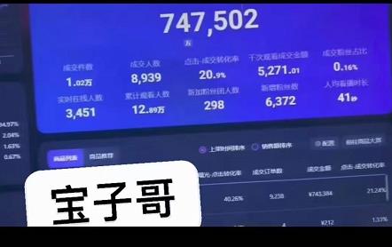 宝子哥无人直播,半无人直播,Obs+伴侣玩法,快速打标签+养鱼网创吧-网创项目资源站-副业项目-创业项目-搞钱项目网创吧