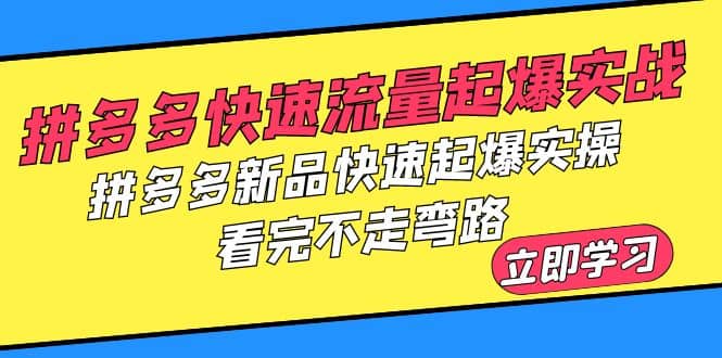 拼多多-快速流量起爆实战,拼多多新品快速起爆实操,看完不走弯路网创吧-网创项目资源站-副业项目-创业项目-搞钱项目网创吧