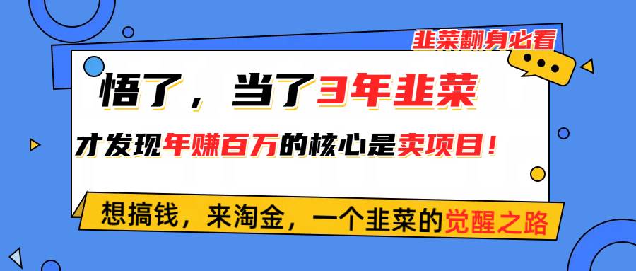 悟了，当了3年韭菜，才发现网赚圈年赚100万的核心是卖项目，含泪分享！大圣网创吧-网创项目资源站-副业项目-创业项目-搞钱项目网创吧