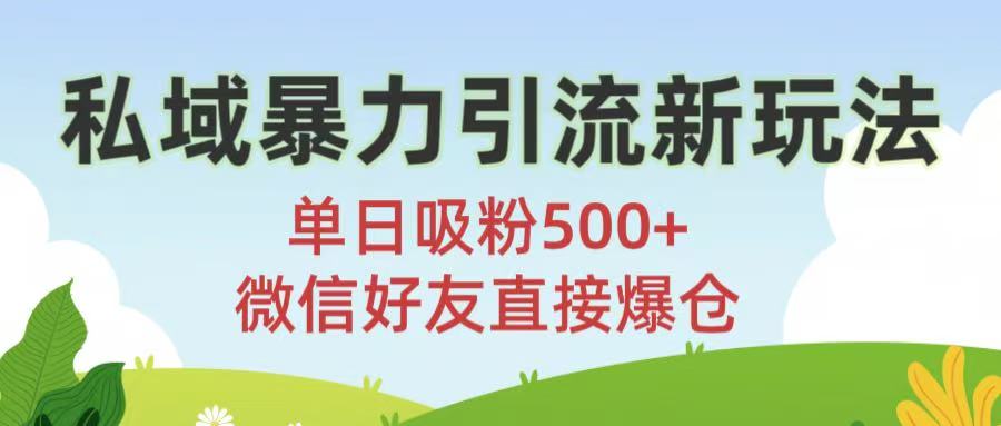 私域暴力引流新玩法!单日吸粉500+，微信好友直接爆仓大圣网创吧-网创项目资源站-副业项目-创业项目-搞钱项目网创吧