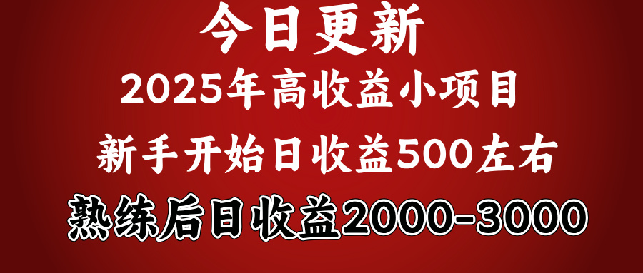 好项目一眼就能看出来，日收益1000，长久可做，2025拼的就是我比你勤奋大圣网创吧-网创项目资源站-副业项目-创业项目-搞钱项目网创吧