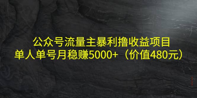 公众号流量主暴利撸收益项目，单人单号月稳赚5000+（价值480元）大圣网创吧-网创项目资源站-副业项目-创业项目-搞钱项目网创吧