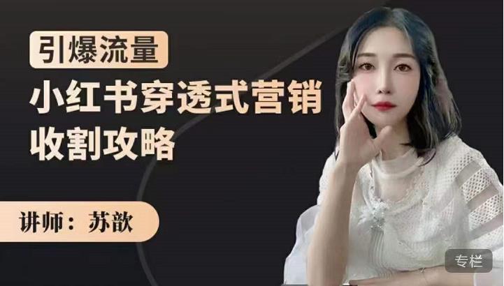 小红书穿透式营销收割攻略，引爆流量，助你玩转小红书大圣网创吧-网创项目资源站-副业项目-创业项目-搞钱项目网创吧