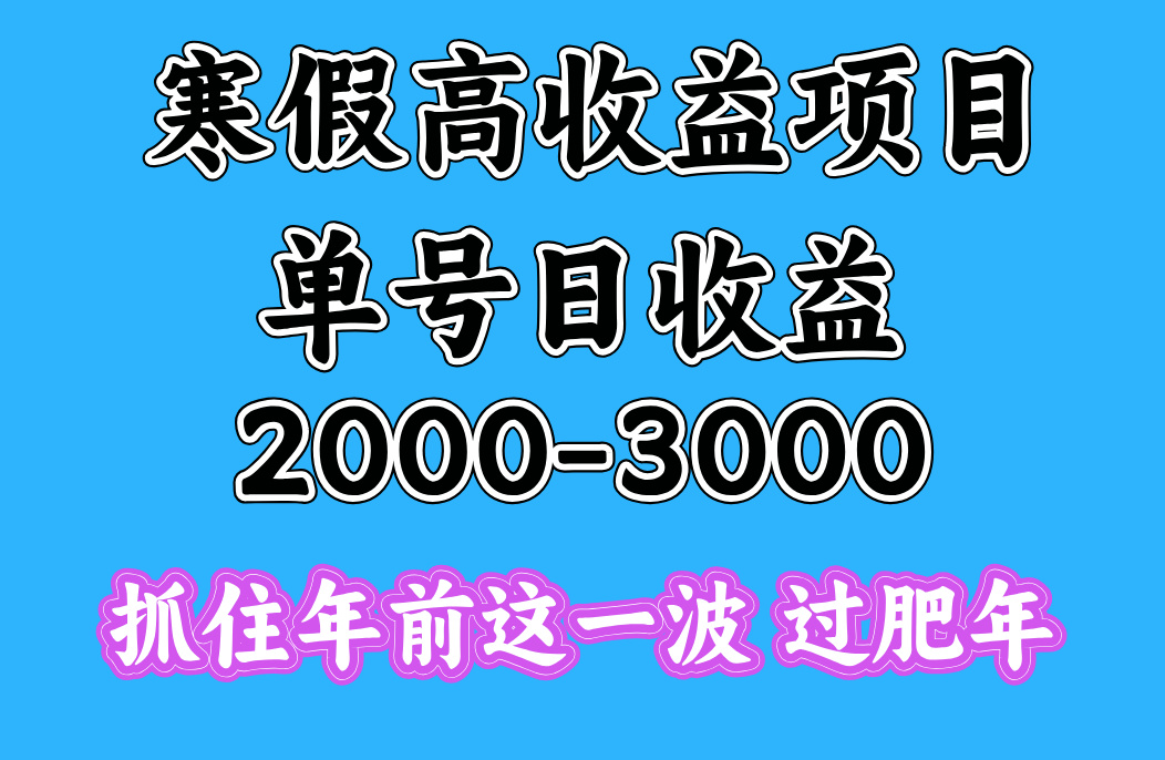 寒假期间一天收益2000-3000+，抓住年前这一波大圣网创吧-网创项目资源站-副业项目-创业项目-搞钱项目网创吧