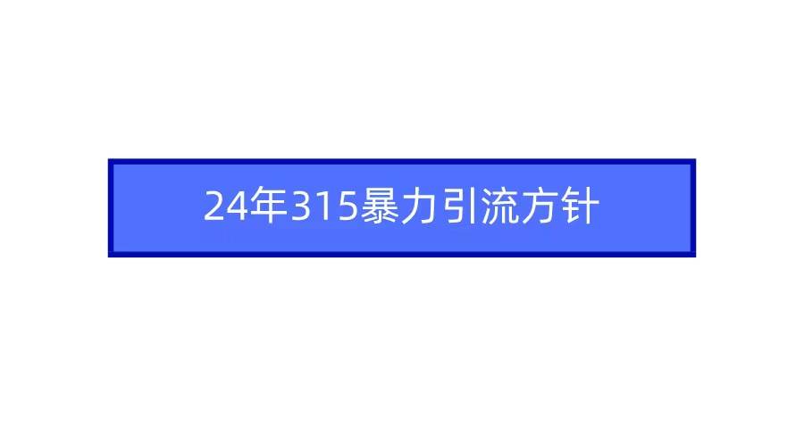 2024年315暴力引流方针大圣网创吧-网创项目资源站-副业项目-创业项目-搞钱项目网创吧