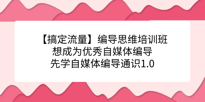 【搞定流量】编导思维培训班，想成为优秀自媒体编导先学自媒体编导通识1.0大圣网创吧-网创项目资源站-副业项目-创业项目-搞钱项目网创吧