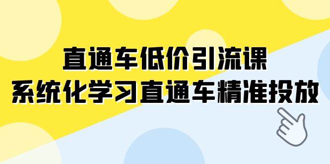 直通车-低价引流课，系统化学习直通车精准投放（14节课）大圣网创吧-网创项目资源站-副业项目-创业项目-搞钱项目网创吧