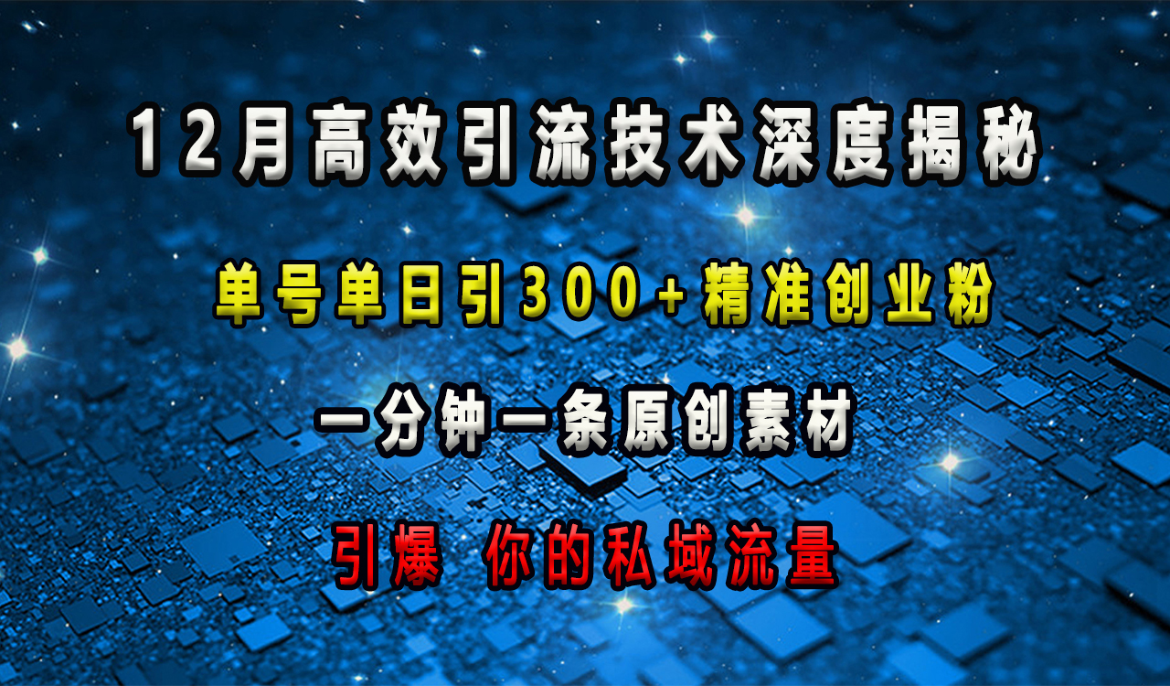 12月高效引流技术深度揭秘 ，单号单日引300+精准创业粉，一分钟一条原创素材，引爆你的私域流量大圣网创吧-网创项目资源站-副业项目-创业项目-搞钱项目网创吧