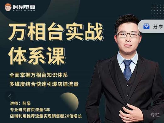 阿呆-万相台实战体系课，帮您全面掌握万相台知识体系大圣网创吧-网创项目资源站-副业项目-创业项目-搞钱项目网创吧