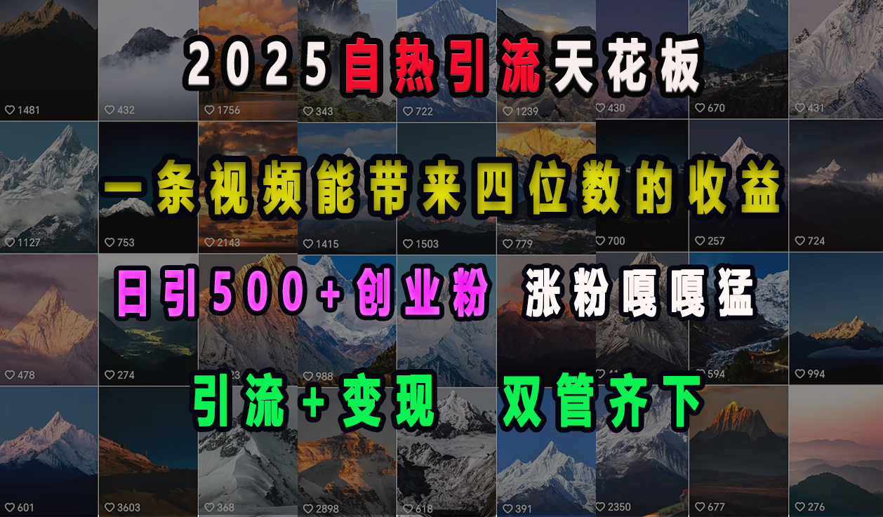2025自热引流天花板，一条视频能带来四位数的收益，引流+变现双管齐下，日引500+创业粉，涨粉嘎嘎猛大圣网创吧-网创项目资源站-副业项目-创业项目-搞钱项目网创吧
