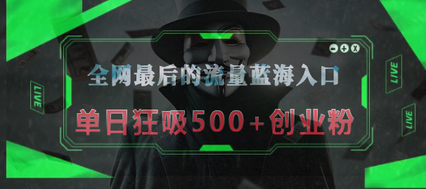 全网最后的流量蓝海入口，半小时引流50+创业粉，单日狂吸500+创业粉大圣网创吧-网创项目资源站-副业项目-创业项目-搞钱项目网创吧