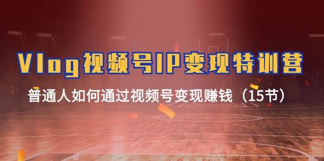 Vlog 视频号IP变现特训营，普通人如何通过视频号变现赚钱（15节）大圣网创吧-网创项目资源站-副业项目-创业项目-搞钱项目网创吧