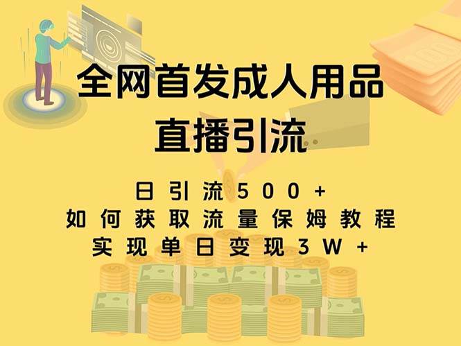 最新全网独创首发，成人用品直播引流获客暴力玩法，单日变现3w保姆级教程大圣网创吧-网创项目资源站-副业项目-创业项目-搞钱项目网创吧