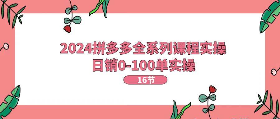 2024拼多多全系列课程实操，日销0-100单实操【16节课】大圣网创吧-网创项目资源站-副业项目-创业项目-搞钱项目网创吧