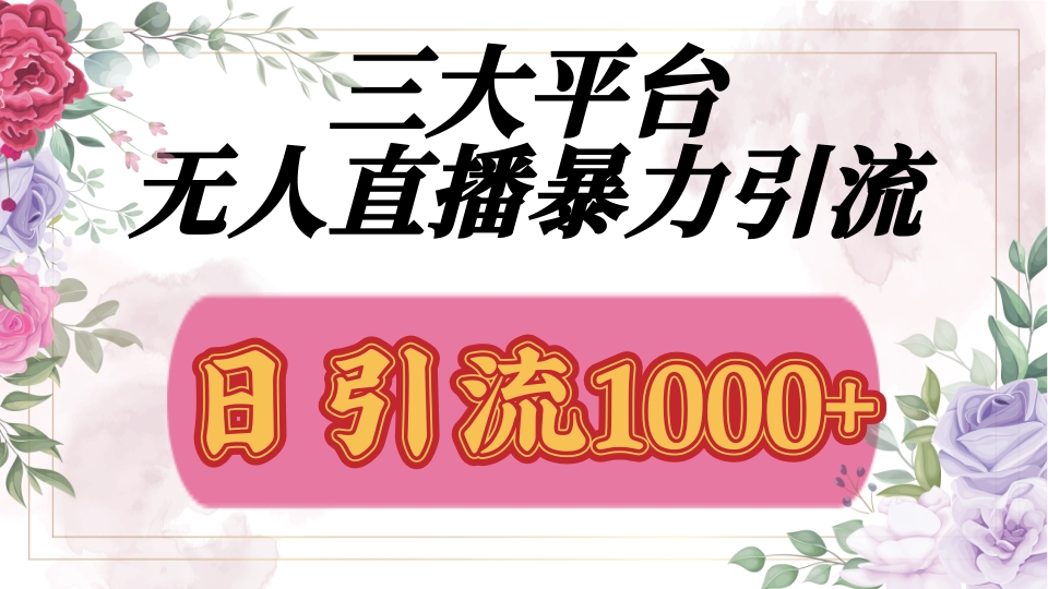 抖音，快手，视频号全平台通用，无人直播引流法，利用图片,模板,整套话术挂机全天支持矩阵操作，无限设备多开，超暴力引流，1000+高质量精准创业粉大圣网创吧-网创项目资源站-副业项目-创业项目-搞钱项目网创吧