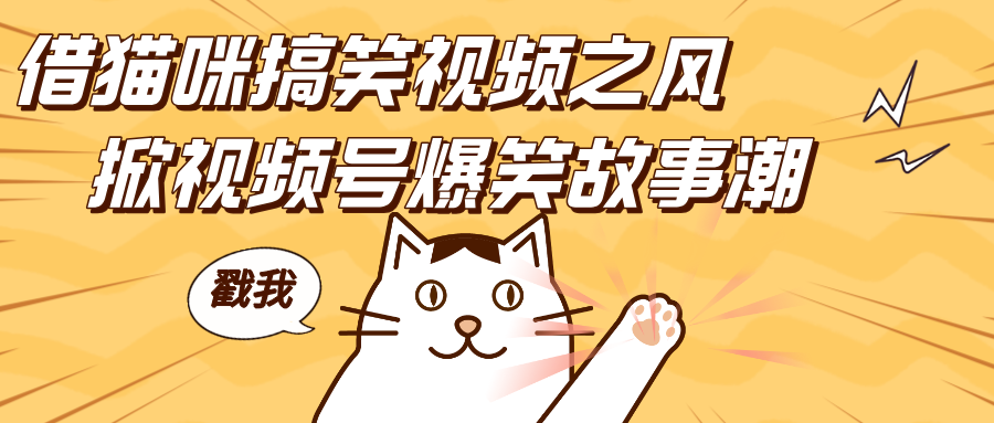 借猫咪搞笑视频之风，掀视频号爆笑故事潮，轻松日赚四位数，开启无门槛赚钱新体验！大圣网创吧-网创项目资源站-副业项目-创业项目-搞钱项目网创吧