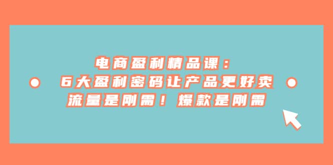 电商 盈利精品课：6大盈利 密码让产品更好卖，流量是刚需！爆款是刚需大圣网创吧-网创项目资源站-副业项目-创业项目-搞钱项目网创吧