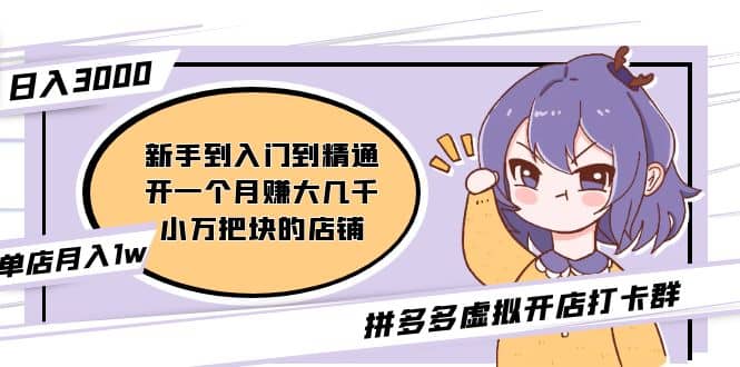 拼多多虚拟开店打卡群：新手到入门到精通大圣网创吧-网创项目资源站-副业项目-创业项目-搞钱项目网创吧