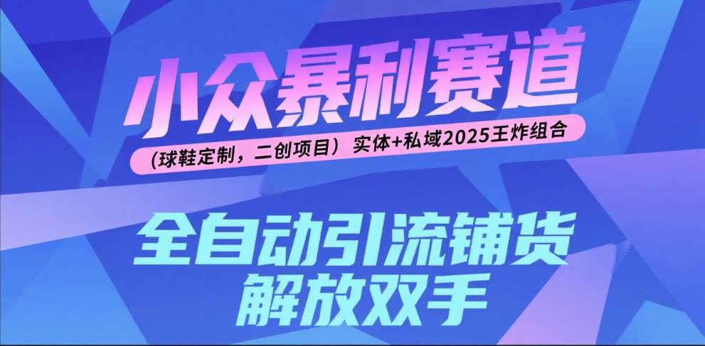 楠—小众暴利赛道（球鞋定制，二创项目）实体+私域2025王炸组合大圣网创吧-网创项目资源站-副业项目-创业项目-搞钱项目网创吧
