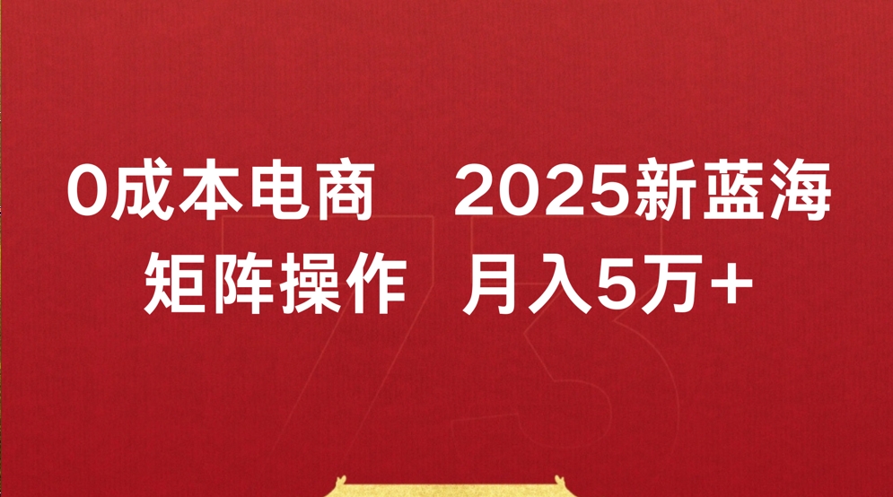 0成本电商2025新蓝海矩阵操作 月入5万+大圣网创吧-网创项目资源站-副业项目-创业项目-搞钱项目网创吧