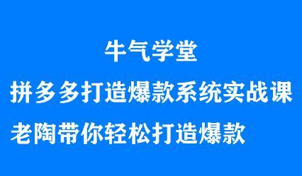 牛气学堂拼多多打造爆款系统实战课，老陶带你轻松打造爆款大圣网创吧-网创项目资源站-副业项目-创业项目-搞钱项目网创吧