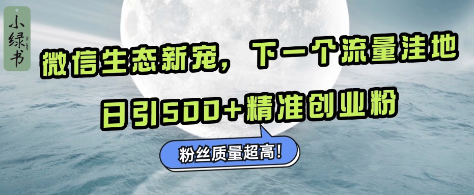 微信生态新宠小绿书：下一个流量洼地，粉丝质量超高，日引500+精准创业粉，大圣网创吧-网创项目资源站-副业项目-创业项目-搞钱项目网创吧