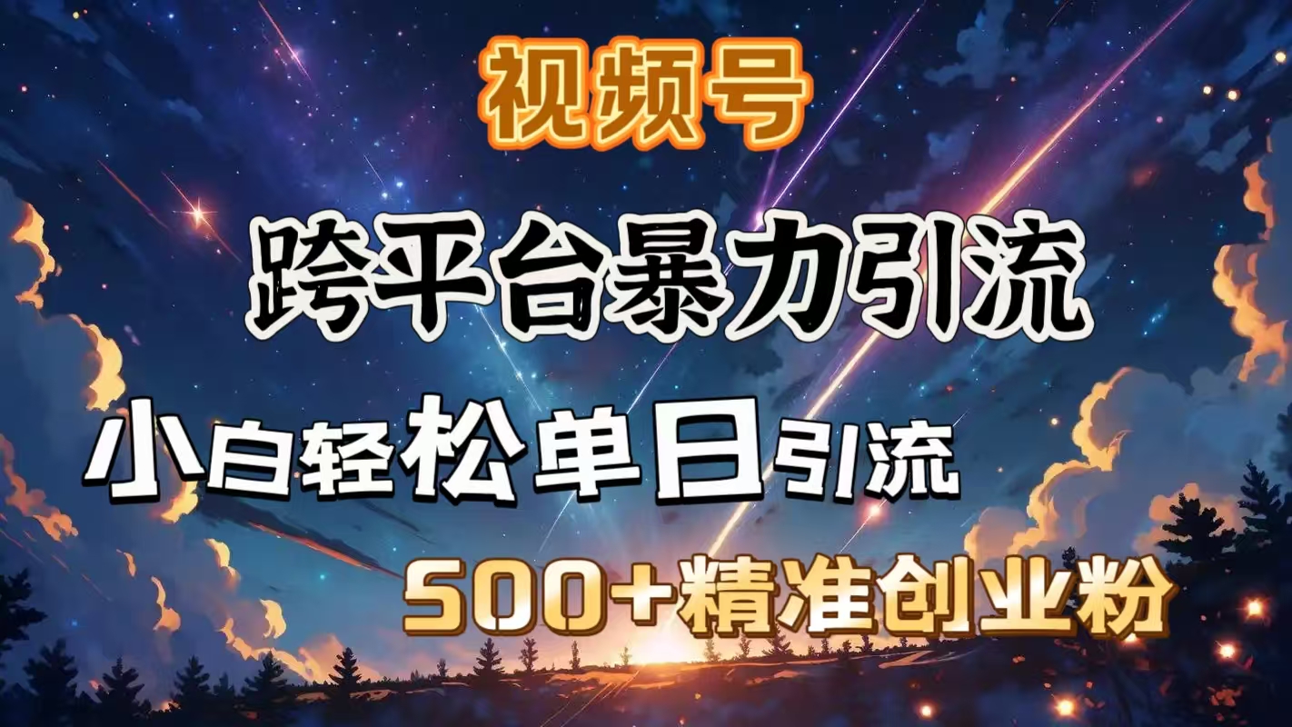 视频号跨平台暴力引流，小白轻松单日引流500＋精准创业粉大圣网创吧-网创项目资源站-副业项目-创业项目-搞钱项目网创吧