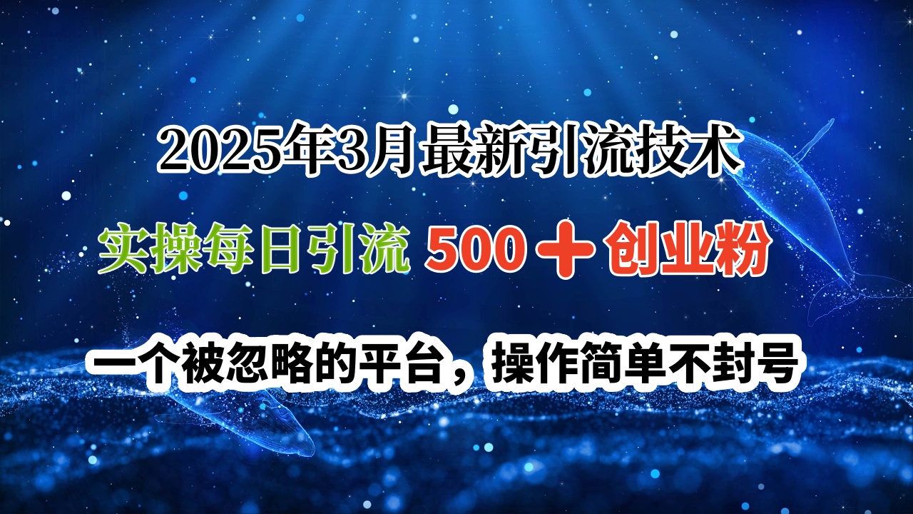2025年3月最新引流技术，实操每日引流500➕创业粉，一个被忽略的平台，操作简单不封号大圣网创吧-网创项目资源站-副业项目-创业项目-搞钱项目网创吧