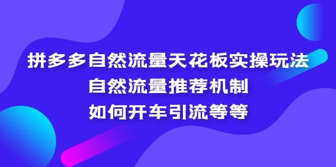 拼多多自然流量天花板实操玩法：自然流量推荐机制，如何开车引流等等大圣网创吧-网创项目资源站-副业项目-创业项目-搞钱项目网创吧