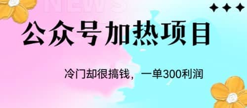 冷门公众号加热项目，一单利润300+大圣网创吧-网创项目资源站-副业项目-创业项目-搞钱项目网创吧