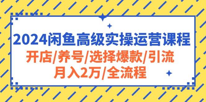 2024闲鱼高级实操运营课程：开店/养号/选择爆款/引流/月入2万/全流程大圣网创吧-网创项目资源站-副业项目-创业项目-搞钱项目网创吧