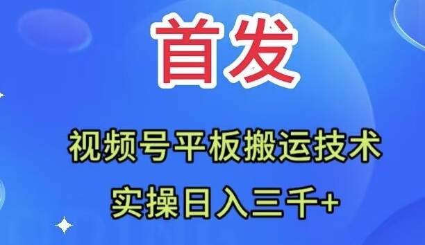 全网首发：视频号平板搬运技术，实操日入三千＋大圣网创吧-网创项目资源站-副业项目-创业项目-搞钱项目网创吧