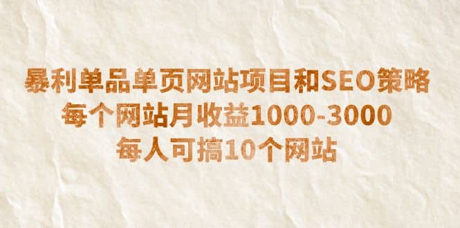 暴利单品单页网站项目和SEO策略 每个网站月收益1000-3000 每人可搞10个大圣网创吧-网创项目资源站-副业项目-创业项目-搞钱项目网创吧