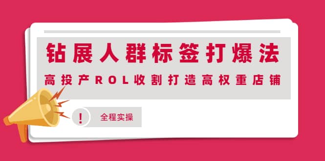 钻展人群标签打爆法，高投产ROL收割打造高权重店铺(全程实操)大圣网创吧-网创项目资源站-副业项目-创业项目-搞钱项目网创吧