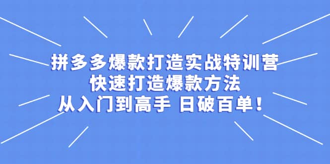 拼多多爆款打造实战特训营：快速打造爆款方法，从入门到高手 日破百单大圣网创吧-网创项目资源站-副业项目-创业项目-搞钱项目网创吧