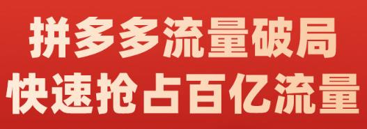 阿杰·拼多多流量破局:如何打黑标，爆款的思路，拼多多流量框架，快速抢占百亿流量大圣网创吧-网创项目资源站-副业项目-创业项目-搞钱项目网创吧