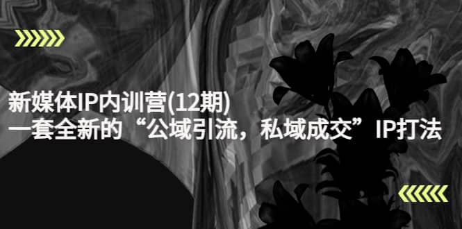 新媒体IP内训营(12期)，一套全新的“公域引流，私域成交”IP打法，直接带走大圣网创吧-网创项目资源站-副业项目-创业项目-搞钱项目网创吧