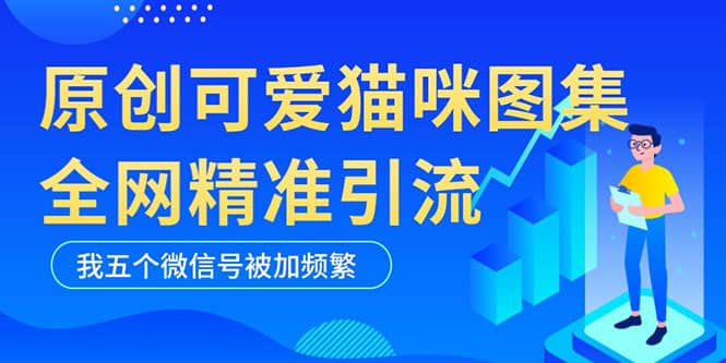 黑科技纯原创可爱猫咪图片，全网精准引流，实操5个VX号被加频繁大圣网创吧-网创项目资源站-副业项目-创业项目-搞钱项目网创吧