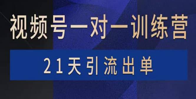 视频号训练营：带货，涨粉，直播，游戏，四大变现新方向，21天引流出单大圣网创吧-网创项目资源站-副业项目-创业项目-搞钱项目网创吧