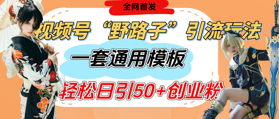 视频号“野路子”玩法，评论区疯狂截流，一套模板单日单号引流50+创业粉大圣网创吧-网创项目资源站-副业项目-创业项目-搞钱项目网创吧