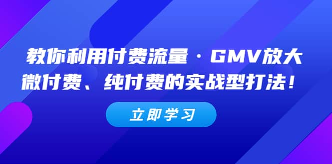 教你利用付费流量·GMV放大，微付费、纯付费的实战型打法大圣网创吧-网创项目资源站-副业项目-创业项目-搞钱项目网创吧
