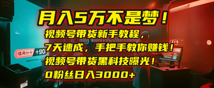 月入5万不是梦！视频号带货新手教程，7天速成，手把手教你赚钱！视频号带货黑科技曝光！0粉丝日入3000+大圣网创吧-网创项目资源站-副业项目-创业项目-搞钱项目网创吧