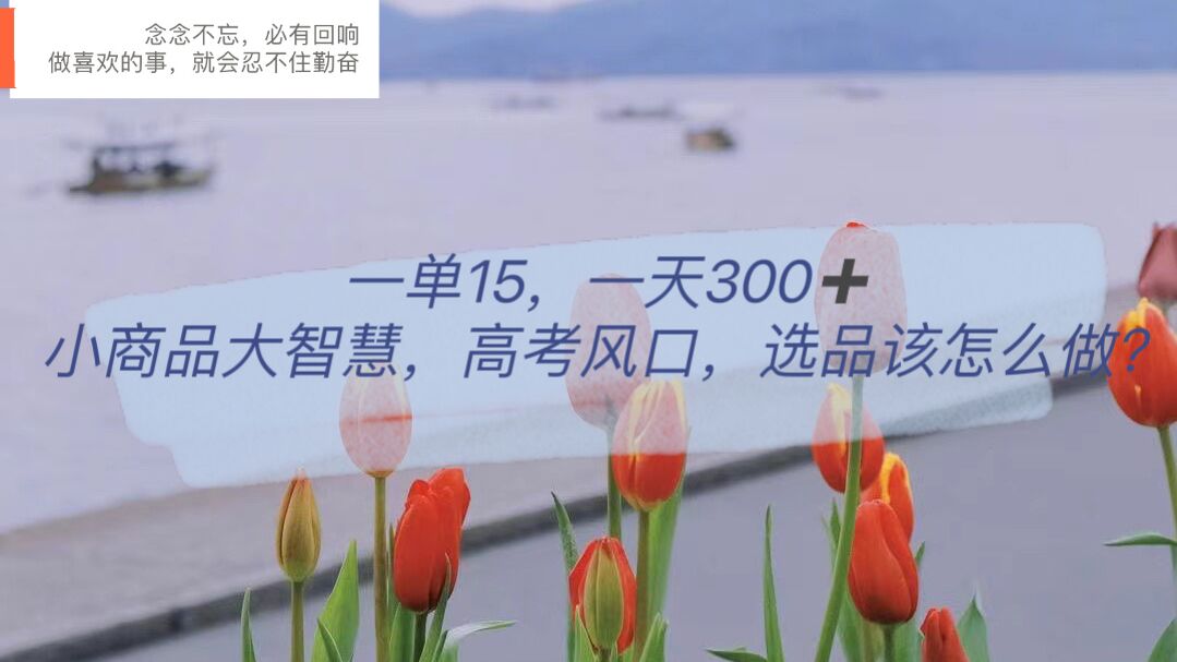 一单15，一天300+，小商品大智慧，高考风口，选品该怎么布局大圣网创吧-网创项目资源站-副业项目-创业项目-搞钱项目网创吧