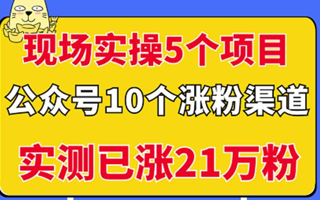 现场实操5个公众号项目，10个涨粉渠道，实测已涨21万粉！大圣网创吧-网创项目资源站-副业项目-创业项目-搞钱项目网创吧