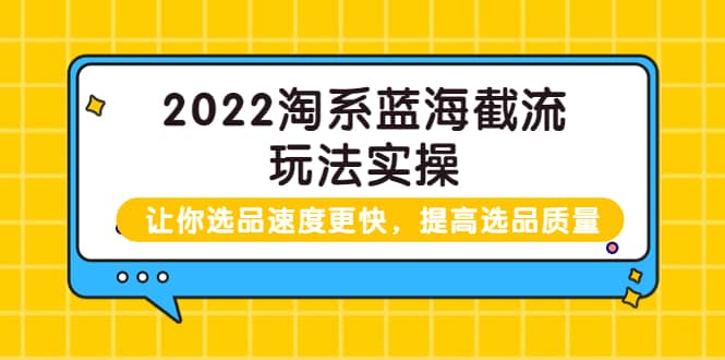 2022淘系蓝海截流玩法实操：让你选品速度更快，提高选品质量（价值599）大圣网创吧-网创项目资源站-副业项目-创业项目-搞钱项目网创吧