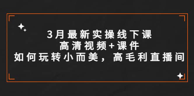 3月最新实操线下课高清视频+课件，如何玩转小而美，高毛利直播间大圣网创吧-网创项目资源站-副业项目-创业项目-搞钱项目网创吧