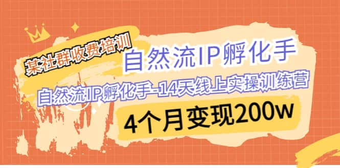 某社群收费培训：自然流IP 孵化手-14天线上实操训练营 4个月变现200w大圣网创吧-网创项目资源站-副业项目-创业项目-搞钱项目网创吧