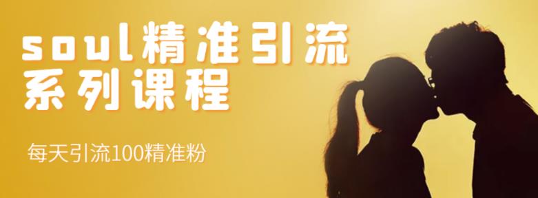 soul精准引流系列课程，每天引流100精准粉大圣网创吧-网创项目资源站-副业项目-创业项目-搞钱项目网创吧