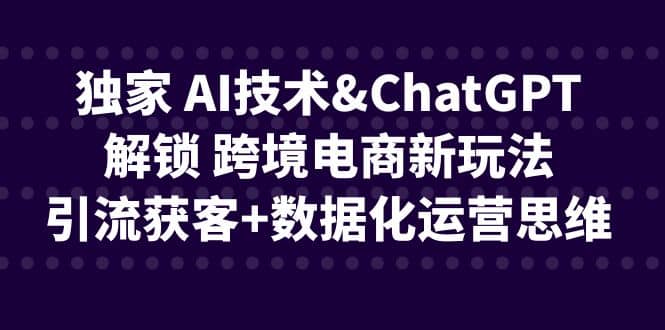 独家 AI技术ChatGPT解锁 跨境电商新玩法，引流获客+数据化运营思维大圣网创吧-网创项目资源站-副业项目-创业项目-搞钱项目网创吧